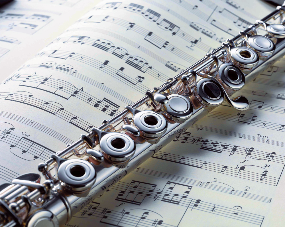 Flute Lessons - Music Makers Calgary